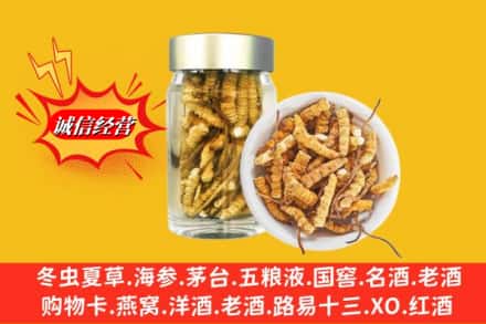 白银市景泰回收散虫草